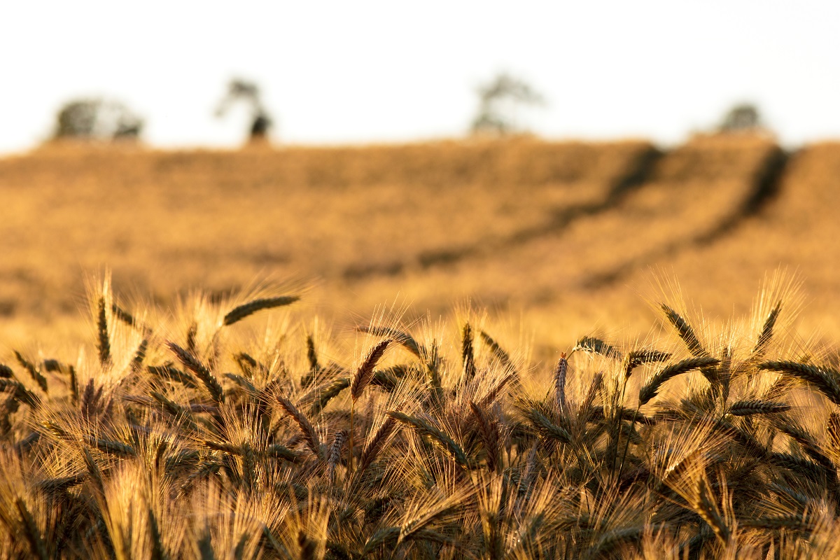 Ian Thompson Landscape Photography Surrey