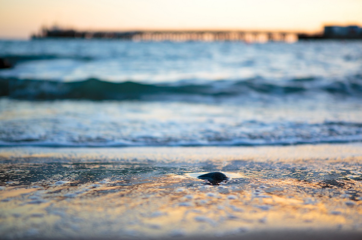 swanage, landscape, sunrise, seaside, ianthompson photography, ianthompson_photography, it_photography, it photography, it, ian, thompson, surrey, uk